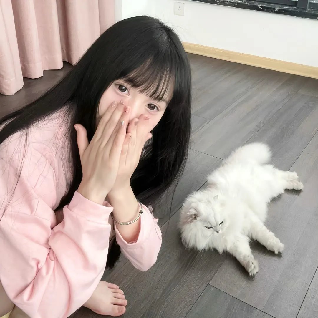 最强大脑第十二季